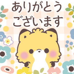 A polite and cute adult Mokokitune