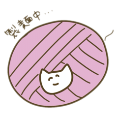 Chicci_20250523155800