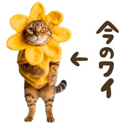 動く!リアル着ぐるみ猫2