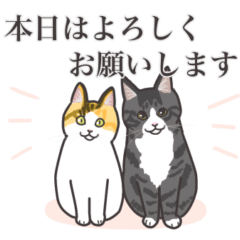 こめこの猫スタンプ[敬語]