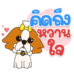 4 cute dog gangs. 2025
