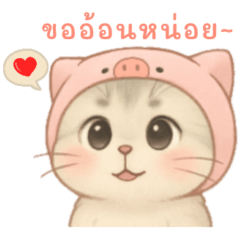 Little Cat with a Pig Hat