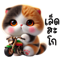 แมวสามสี,แมวน้อยน่ารัก จอมกวน