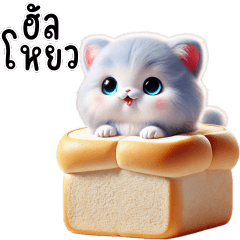 แมวสีฟ้า,แมวน้อย น่ารัก