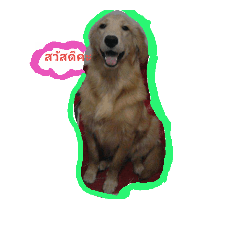 love_dog