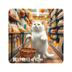 ほんわか日常　ねこにゃん