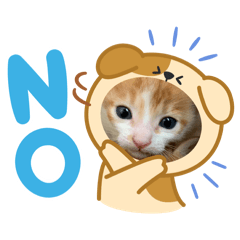 しははやまや