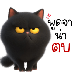 ดำเกิง แมวอ้วนน่ารัก 1_38