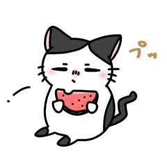 福を呼ぶ！！かぎしっぽねこ大ちゃんの夏