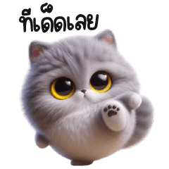 แม๋วเทานุ่มนิ่มอ้วงกลม