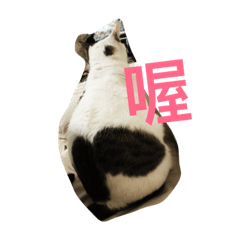肥妞公主
