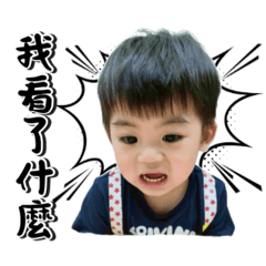 洋洋寶寶5