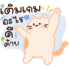 จอมแมวเจ้าคลัง แม่ค้าเติมเกม