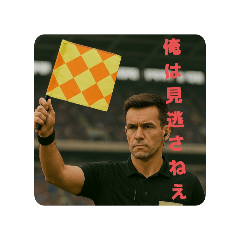 サッカーのレフェリー