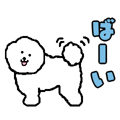 Toy Poodle Koimo's Sticker