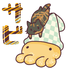 moving tortoiseshell cat