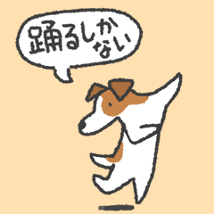 funky jack russell terrier