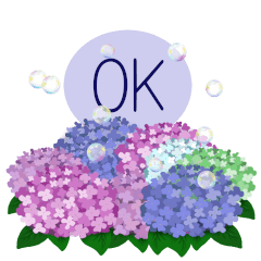 Daily conversation & Summer greetings 8
