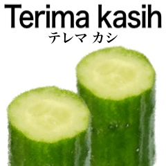 Fresh cucumber 11