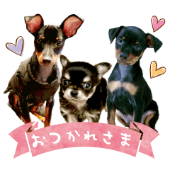 reo,kai&bell's Sticker
