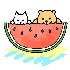 Everyday kuma stickers Spring/Summer