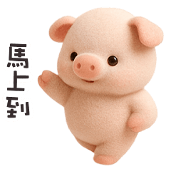chubby cute pig1
