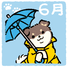 6月のおまるちゃん