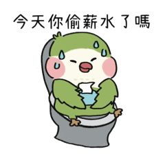 MsPatty_win win parrot is working