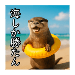 夏を楽しむアニマルズ