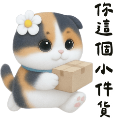 超級諧音小花貓