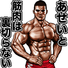 Asei dedicated Fine macho sticker 2