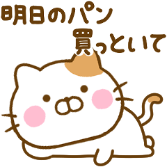 nekohina not motivated kansai