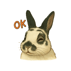 lop-eared rabbit ul3