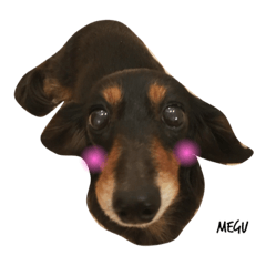 Todays Kinako and Megu