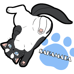 シャチ柄ネコのサカマタさん