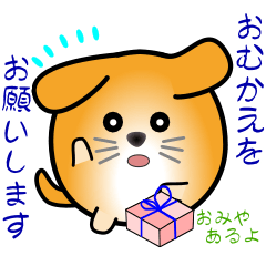 nobobi Round dog2