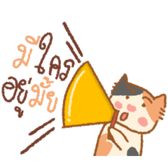 ฮัลโหล นี่สามสีเองจ้า