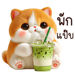แก๊งเหมียวคาวาอี้ตุ้ยนุ้ย V.5
