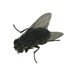 Harry_20250523170356