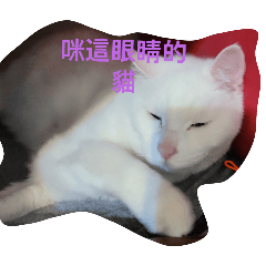 Naomi_20250524142210