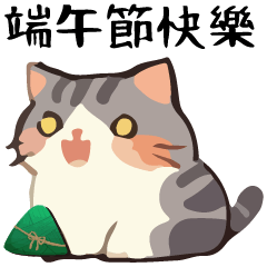 Talking Cat Ball Dragon Boat  Special