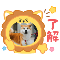 Rei_20250524222040