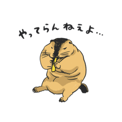 momonga_20250525000215