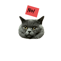 Alice_20250525023017