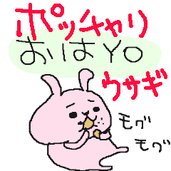 Cute rabbit eats a lot !