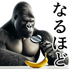 [Response] Handsome Gorilla