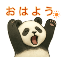 【パンダ】の日常