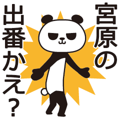 The Miyahara panda