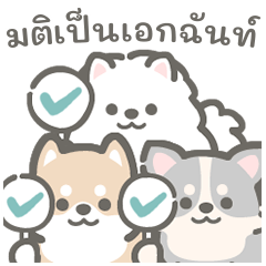 เต็มไปด้วยน้องหมา
