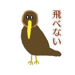Kiwi bird that cannot fly